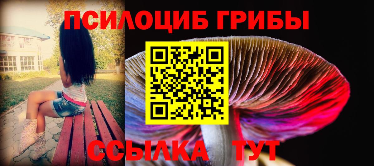 Галлюциногенные грибы прущие грибы  Вход с VPN  Кыштым 