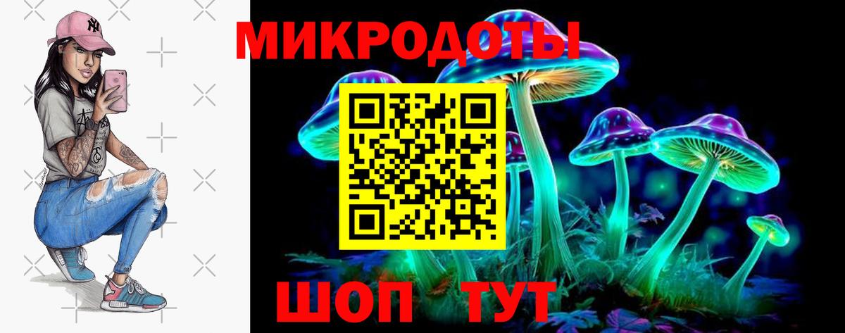 Псилоцибиновые грибы Psilocybe Кыштым